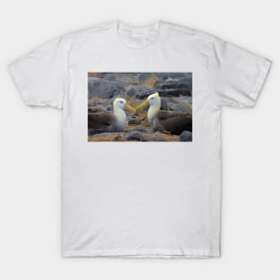 Albatross Love T-Shirt